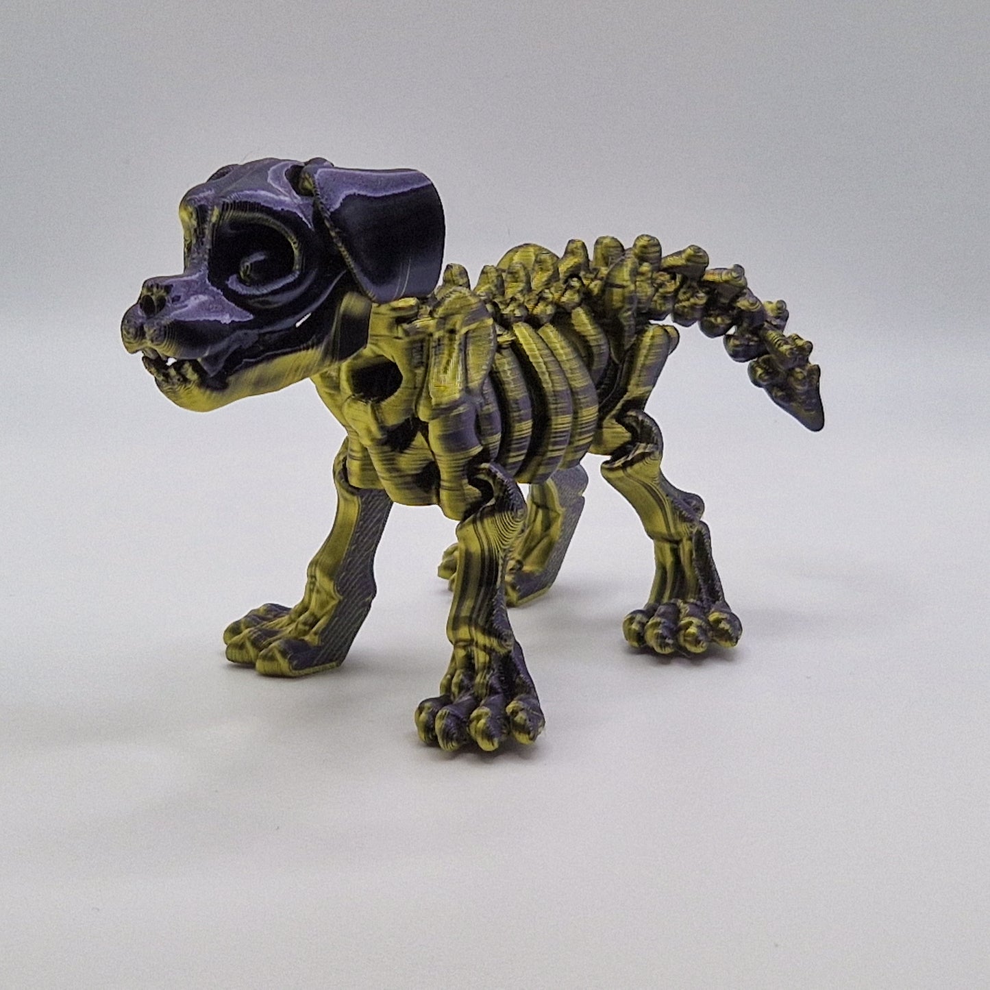 Skeleton Cat