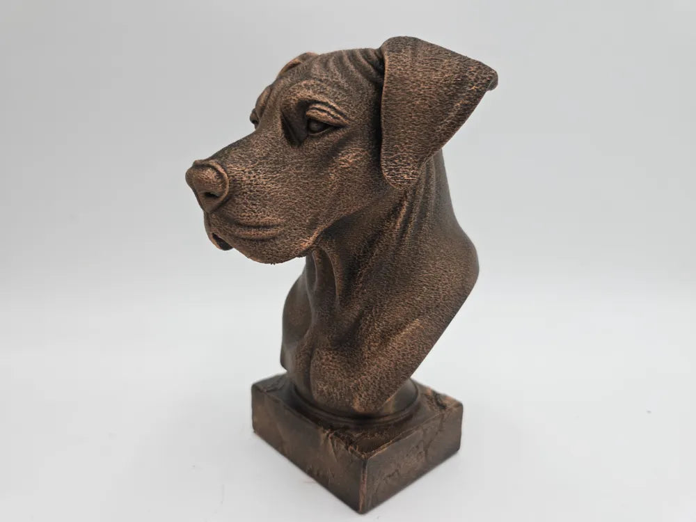 Great Dane Bust