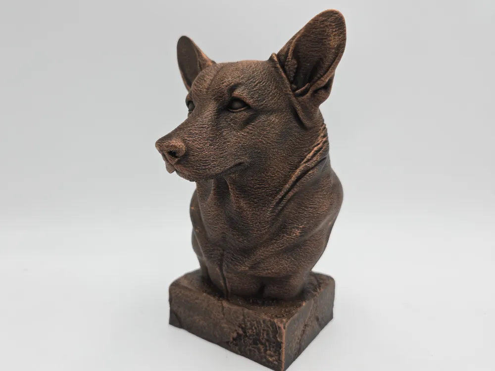 Corgi Bust