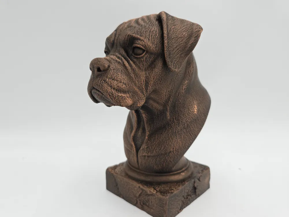 Boxer Bust