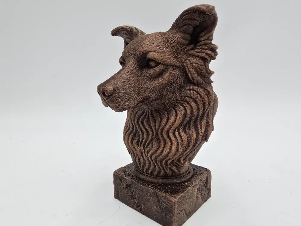 Border Collie Bust