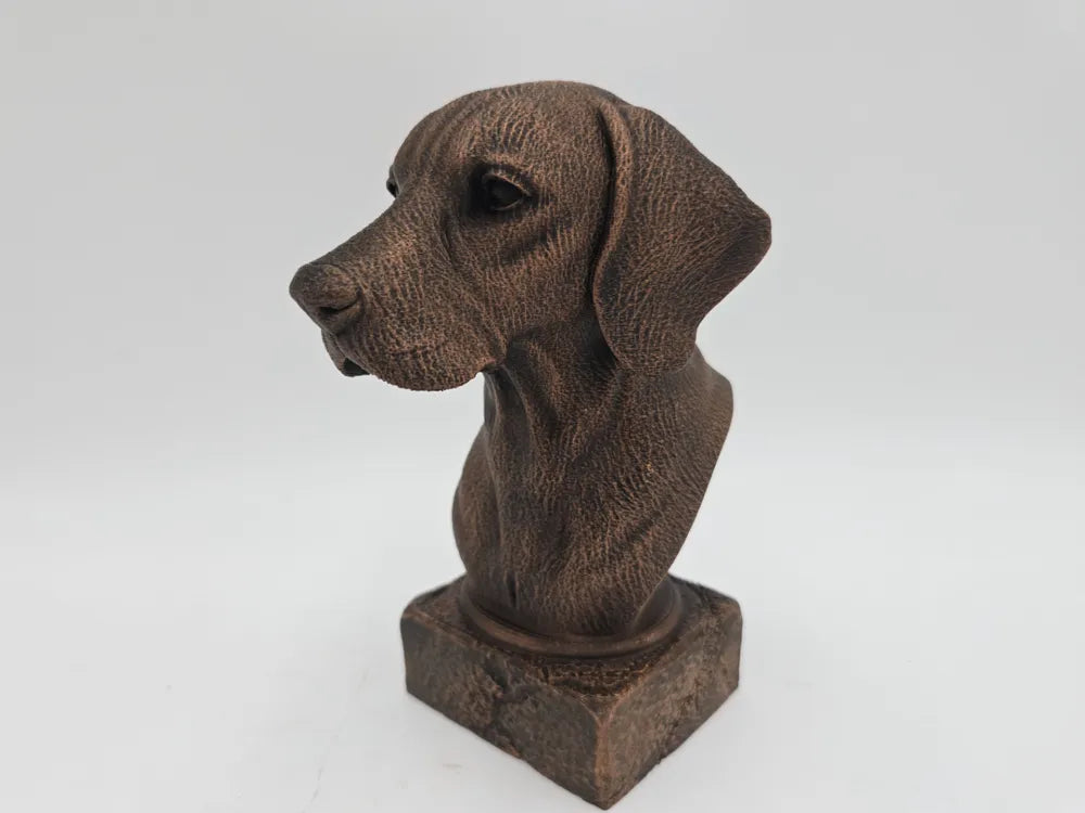 Hungarian Vizsla Bust