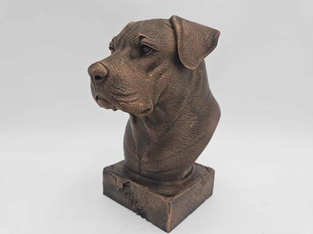 Dogo Argentino Bust