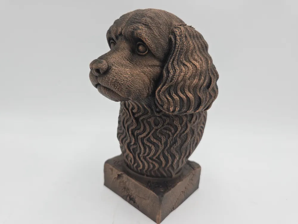 Cavapoo Bust