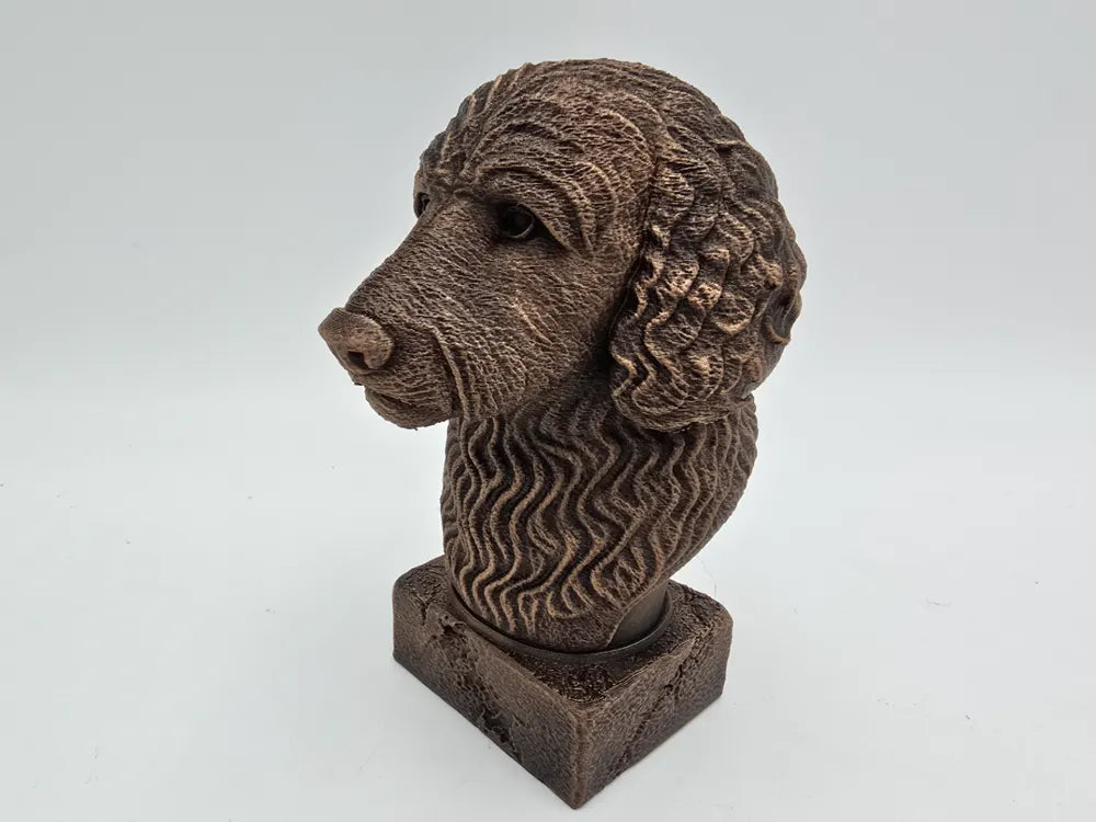 Goldendoodle Bust