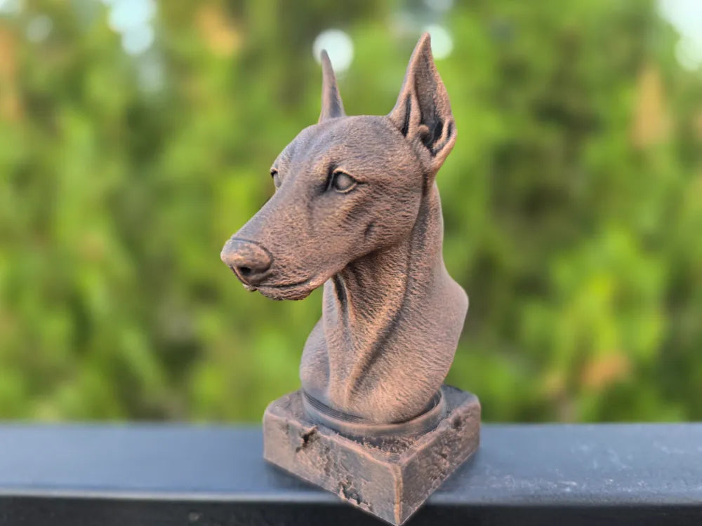 Pinscher Bust