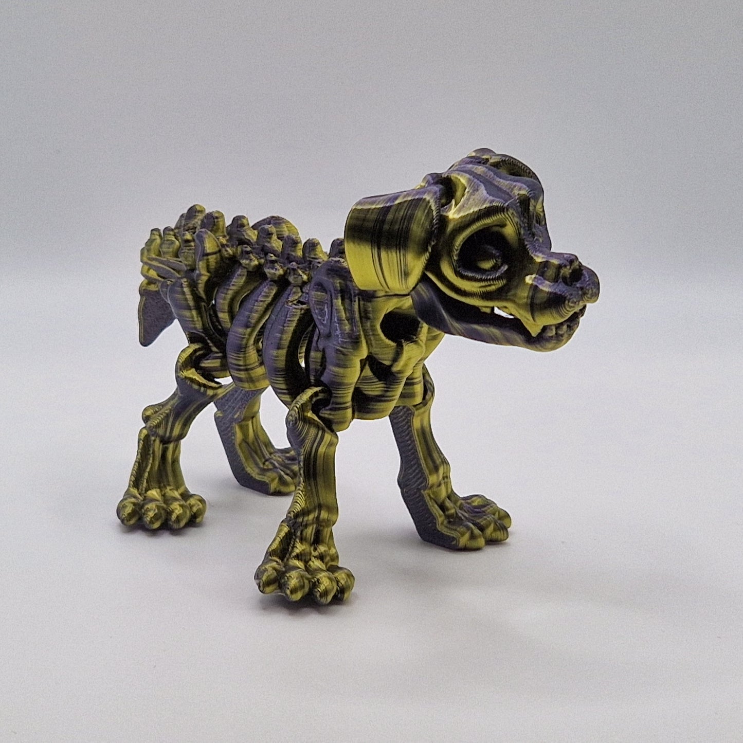 Skeleton Cat