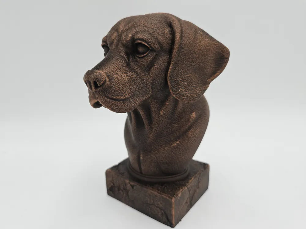 Beagle Bust