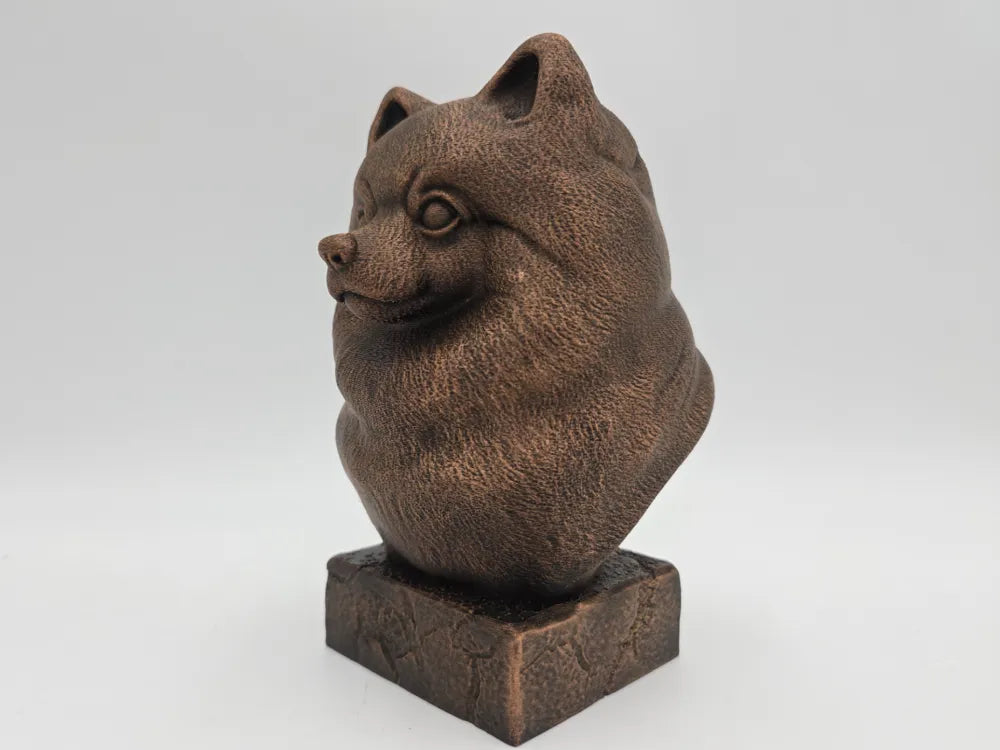 Pomeranian Bust