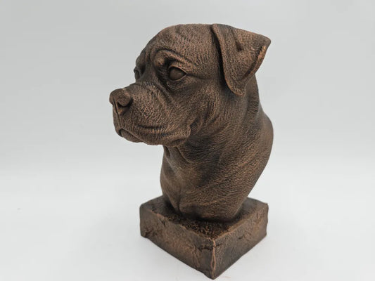 Rottweiler Bust