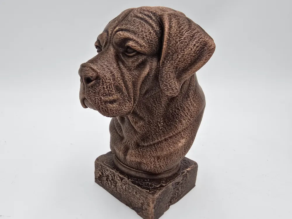 Cane Corso Bust