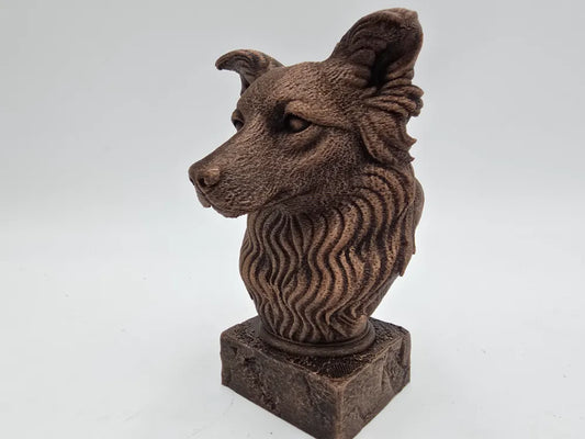 Border Collie Bust