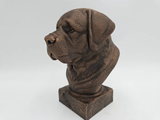 Saint Bernard Bust