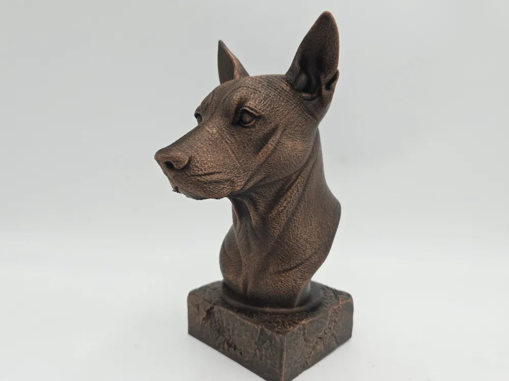 Xolo Bust