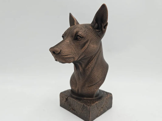 Xolo Bust