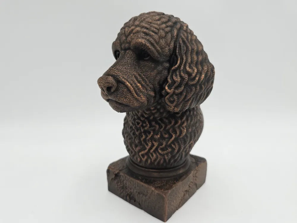 Labradoodle Bust