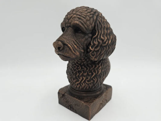 Labradoodle Bust