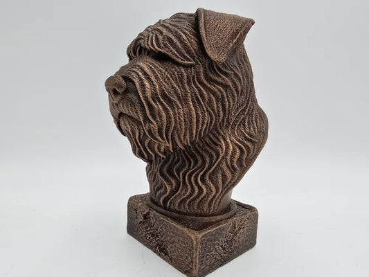 Bouvier Des Flandres Bust
