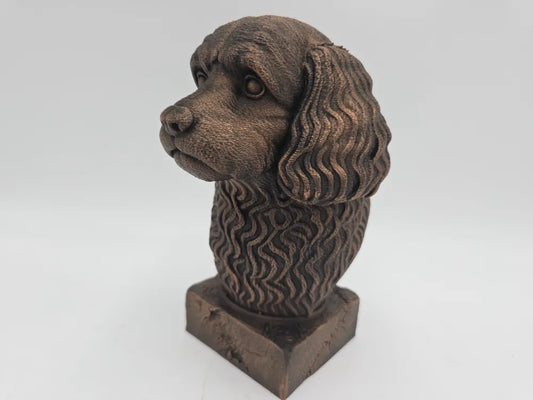 Cavapoo Bust