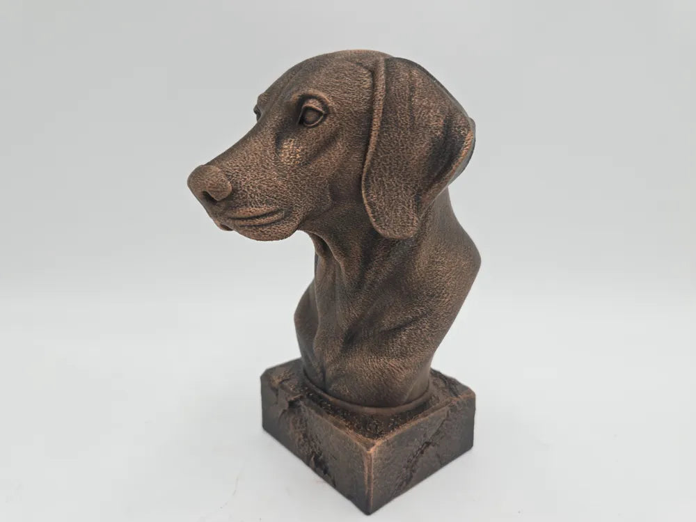 Weimaraner Bust