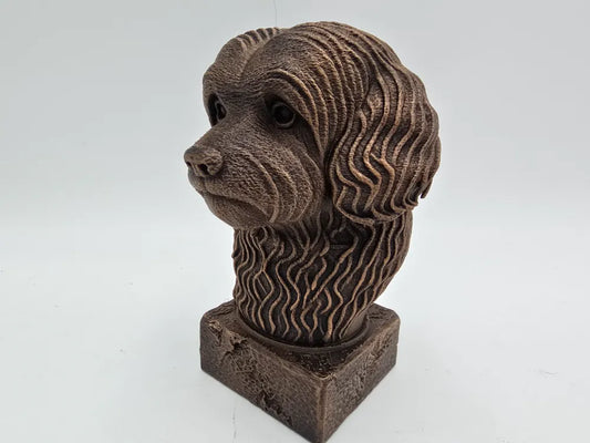 Havanese Bust