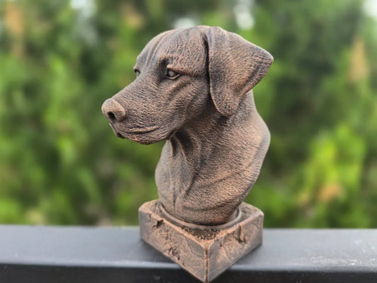 Rhodesian Ridgeback Bust