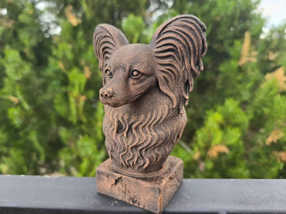 Papillion Bust