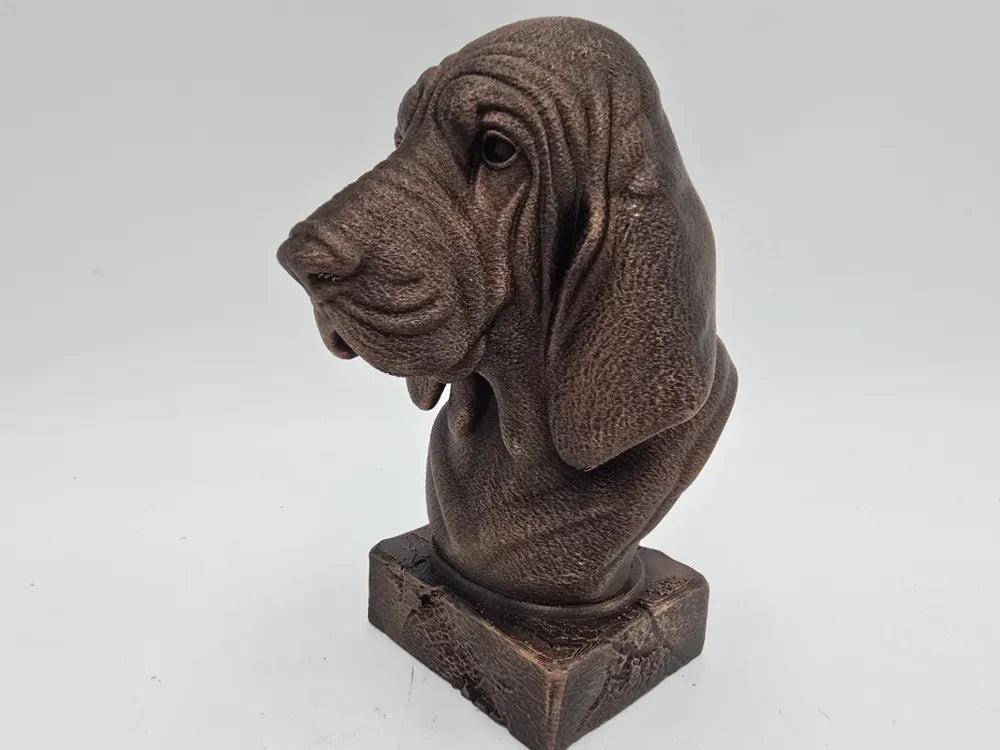 Bloodhound Bust