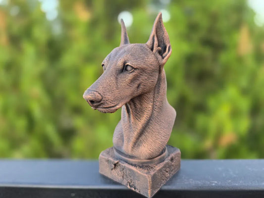 Pinscher Bust