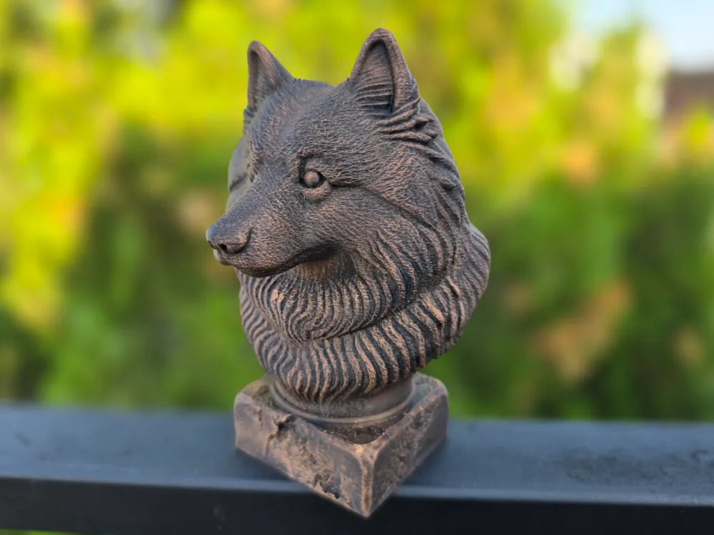 Keeshond Bust