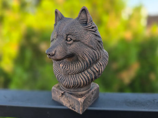 Keeshond Bust