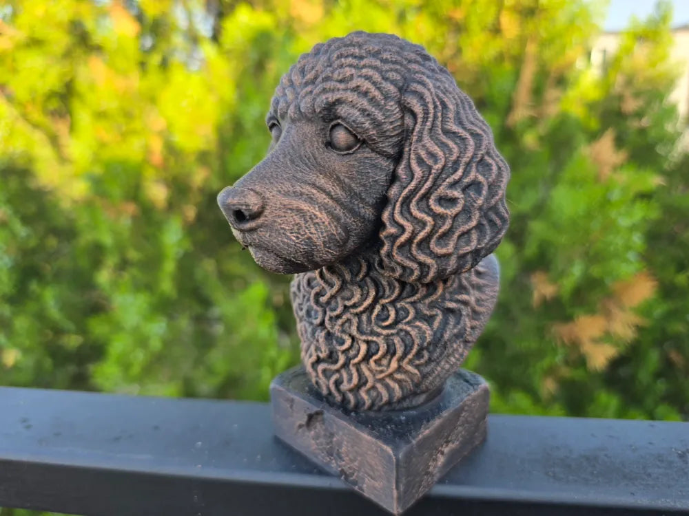 Cockapoo Bust