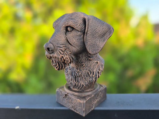 Wire Haired Dachshund Bust