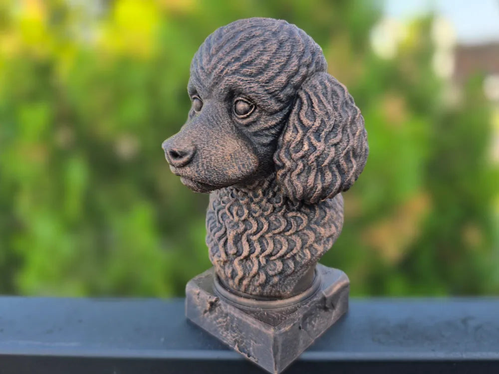 Toy Poodle Bust