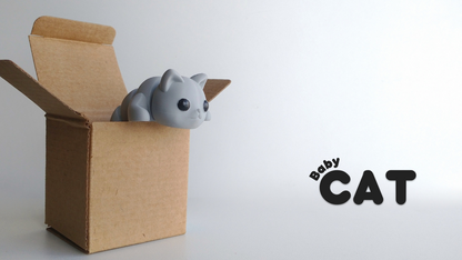 Baby Cat (Pocket Pets)