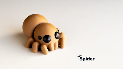 Baby Spider (Pocket Pets)