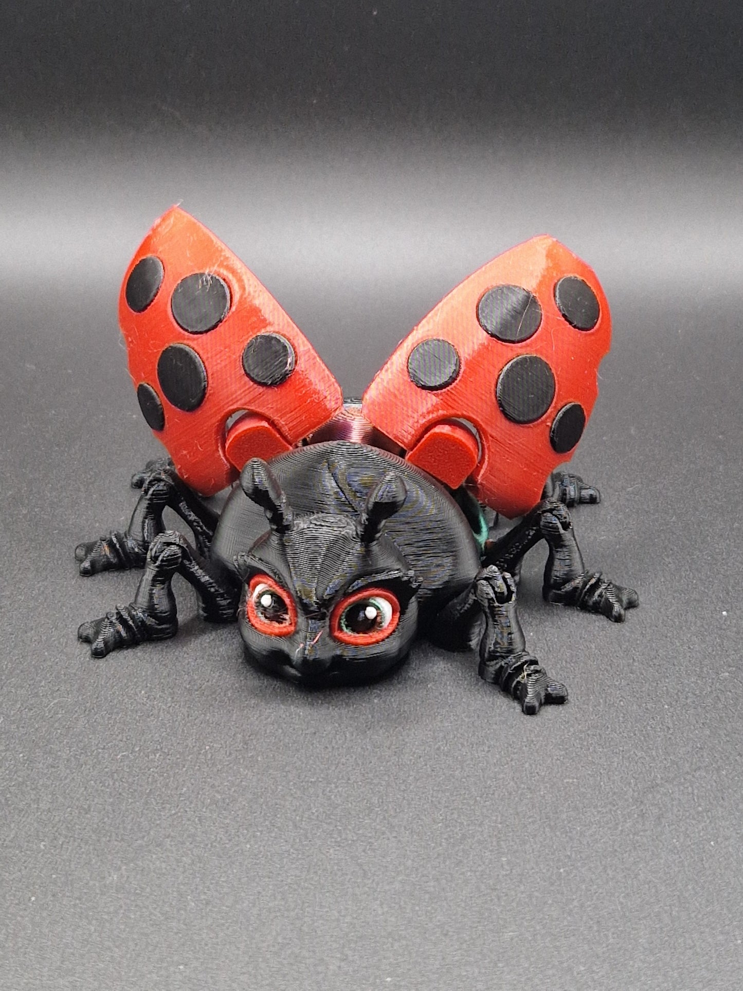 Ladybug